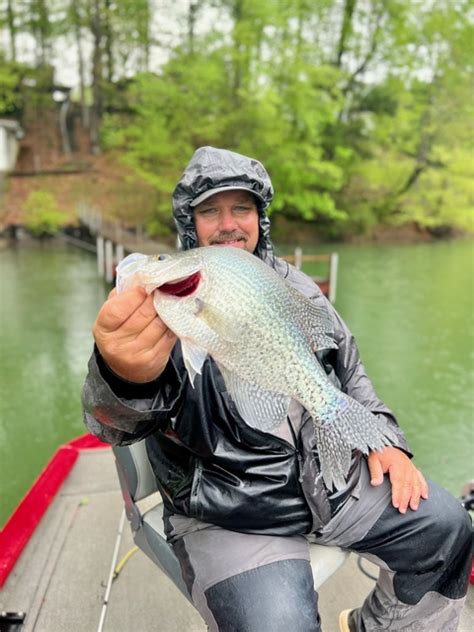 fishing report on lake hartwell|lake hartwell crappie fishing report.